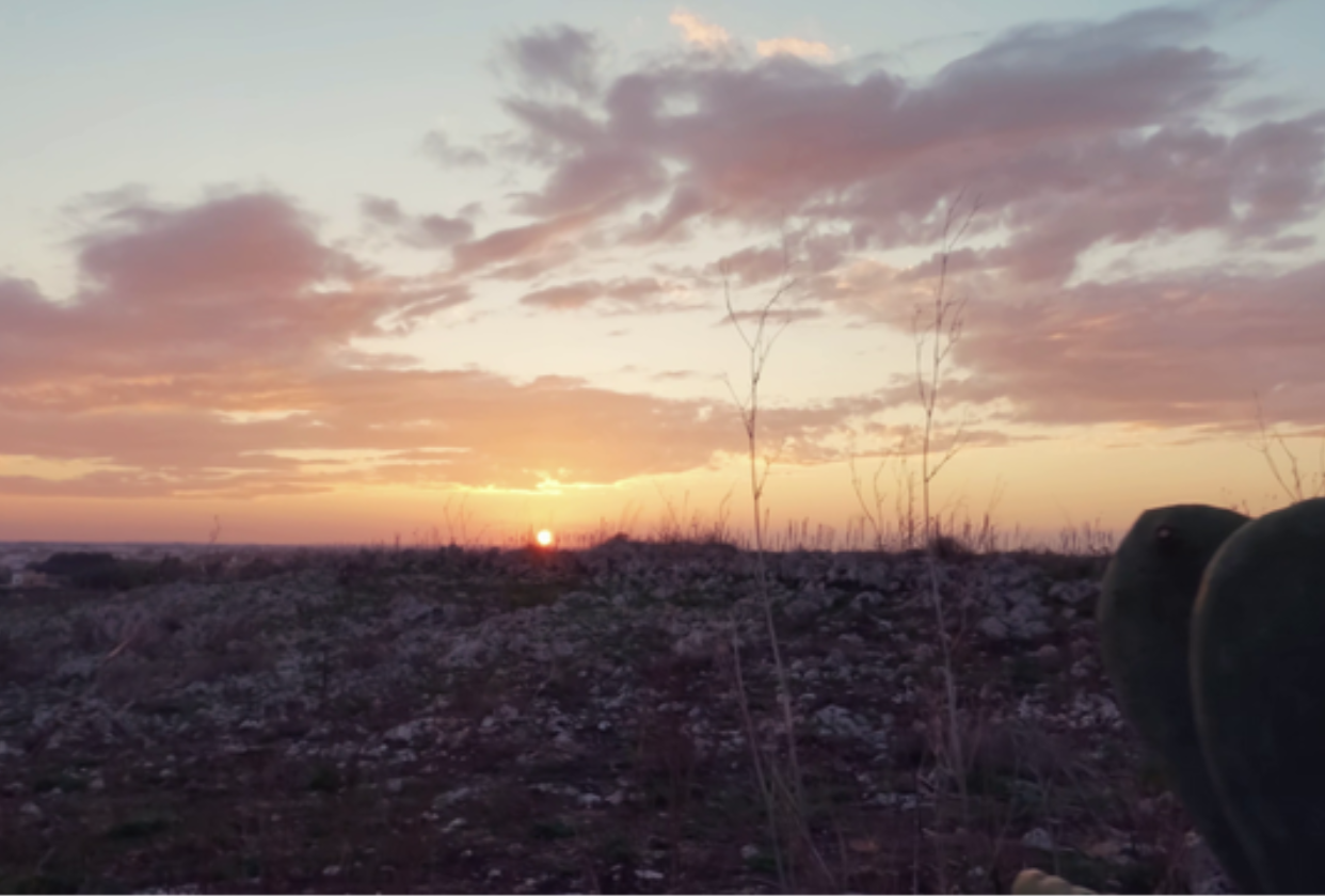 Come MAI le Montagne sono VIVE?