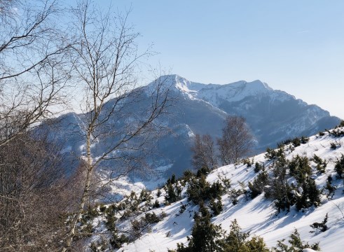 Mete ed escursioni per l'inverno ed il freddo