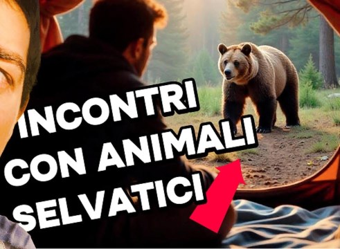 Come gestire l'incontro con gli ANIMALI SELVATICI