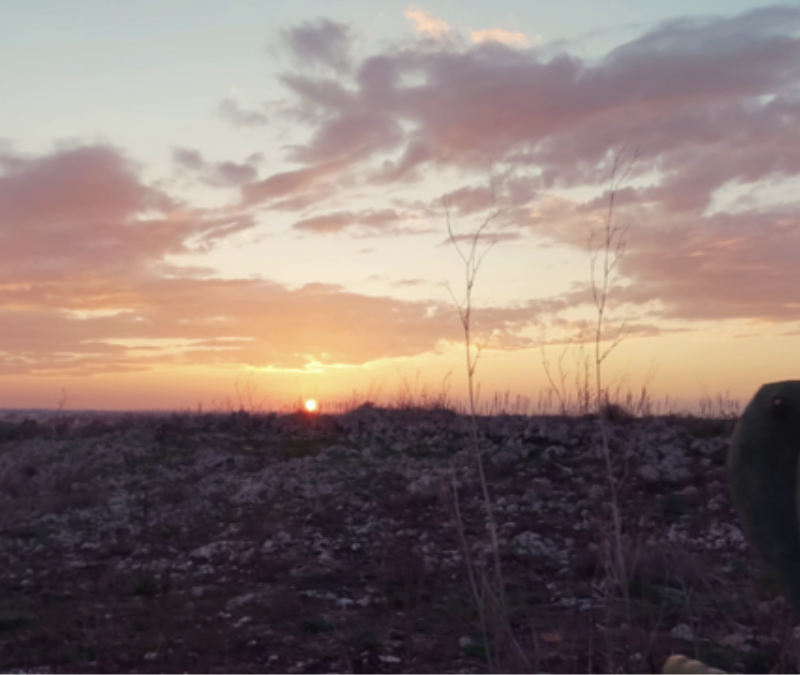 Come MAI le Montagne sono VIVE?