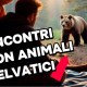 Come gestire l'incontro con gli ANIMALI SELVATICI