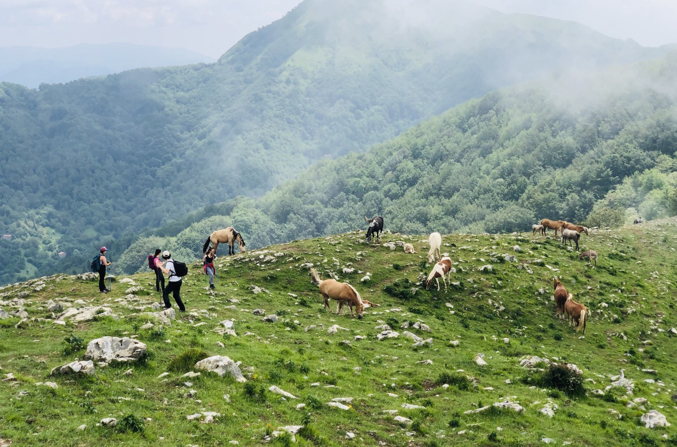 le-incredibili-alpi-toscane_32