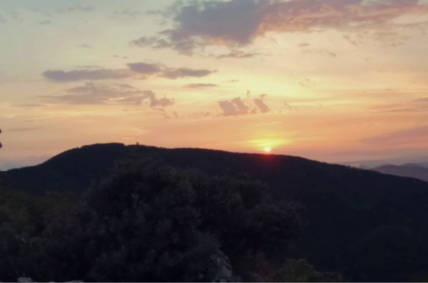 aperitivo-e-musica-sotto-le-stelle-e-gli-alberi_16