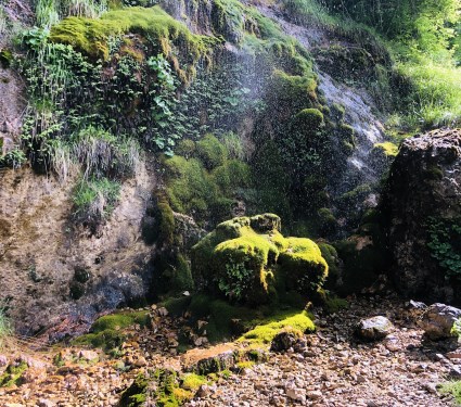 la natura rigogliosa delle Apuane montagne d'acqua
