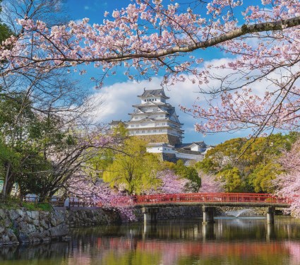 il castello di Osaka