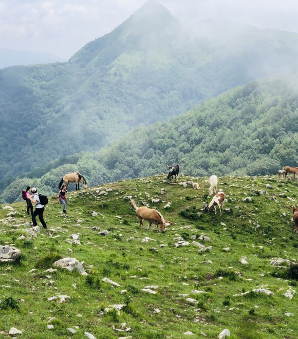 Le incredibili Alpi Toscane