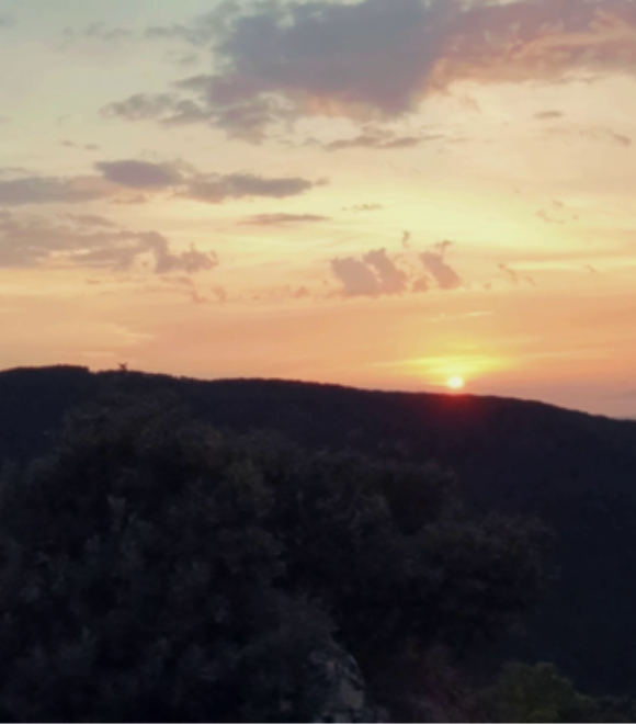 Aperitivo e musica sotto le stelle e gli alberi