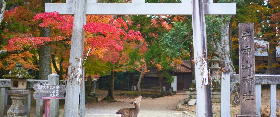 Templio dei Cervi di Nara